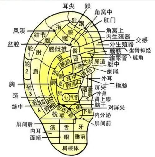微信图片_20230413164148.jpg