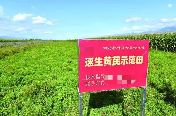 微信图片_20230414145039.jpg 微信图片_20230414145039.jpg