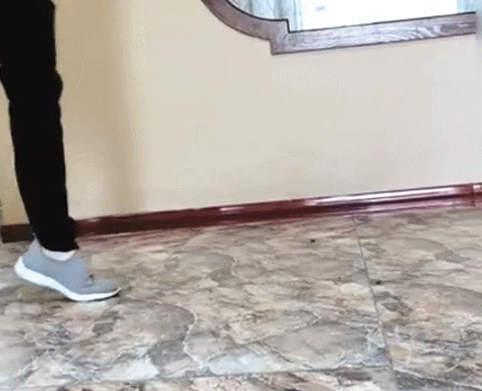 微信图片_20020105015858.gif