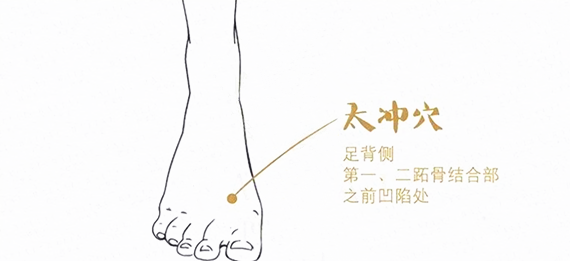 微信图片_20020105022318.png