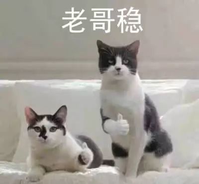 微信图片_20020105025824.jpg 微信图片_20020105025824.jpg