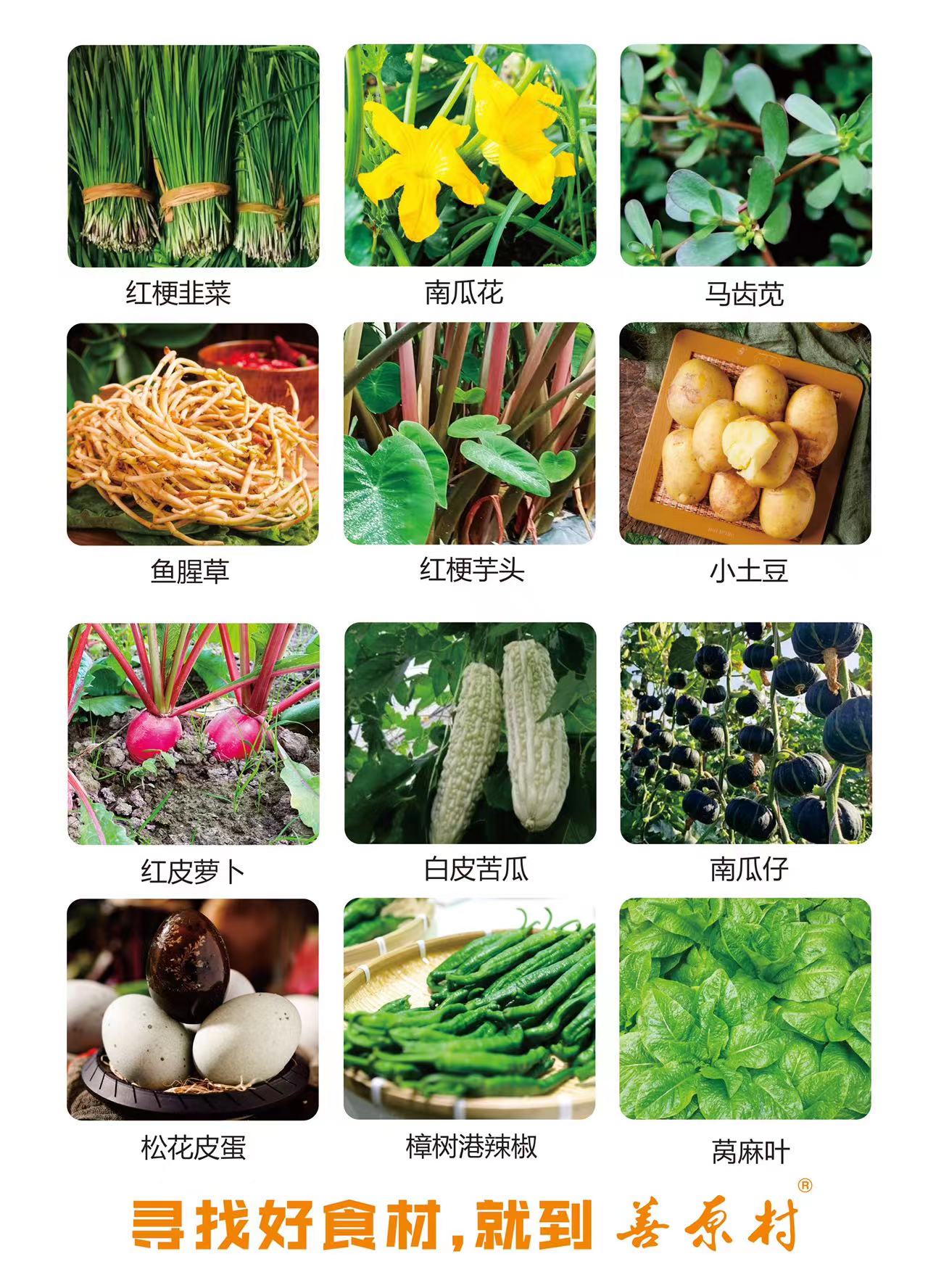 微信图片_20020101003757.jpg
