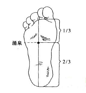 5064162586.jpg