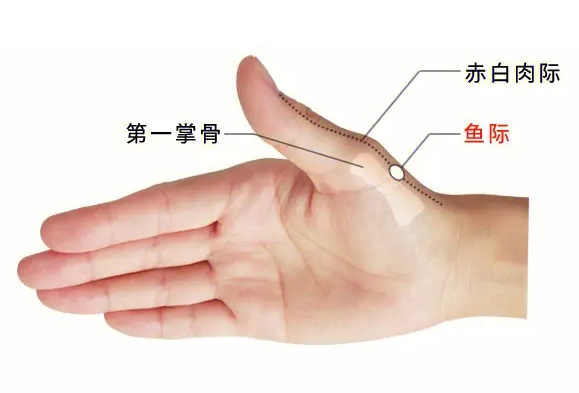 微信图片_20230919111827_2.png