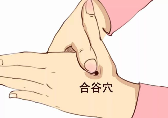 微信图片_20230919111827_4.png