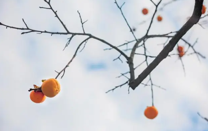 微信图片_20231008135100_4.png