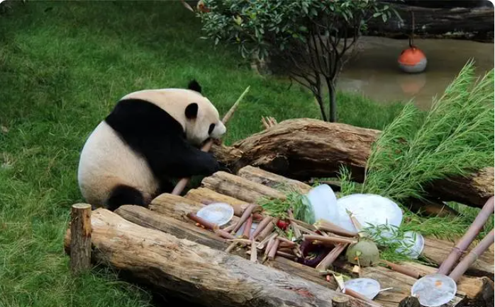 微信图片_20240102153249.png