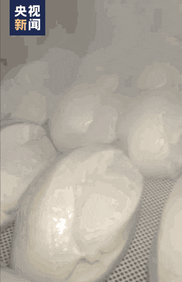 9cc7e3cff9614e96aca0af205443e89c~noop.gif