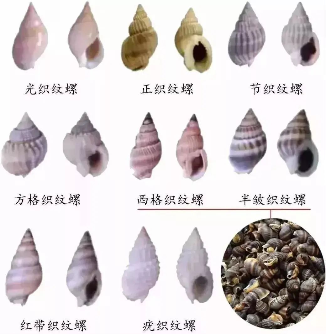 b7643df114e54bbb8041fb0783c7711a~tplv-obj.jpg