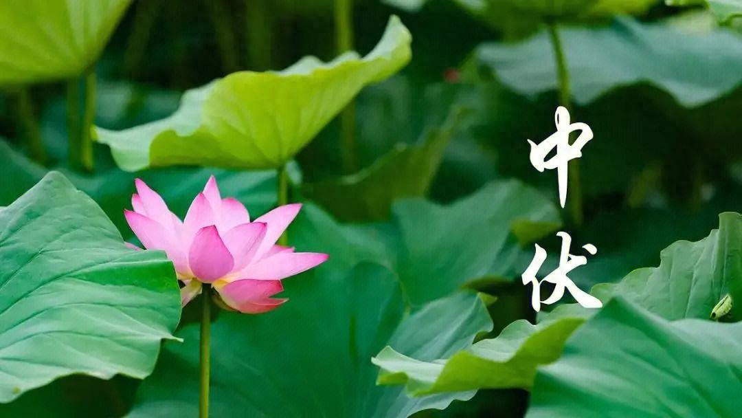 1525e08a4a3a4630bb719d6c88e5378c~noop.jpg
