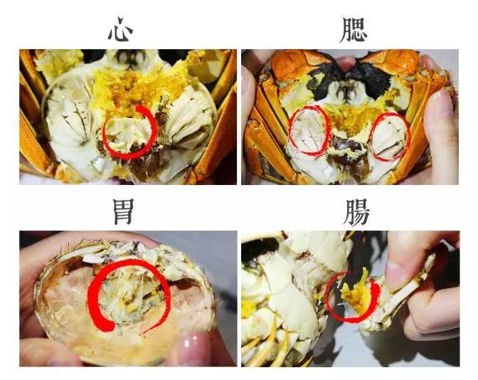 微信图片_20240930174153.png