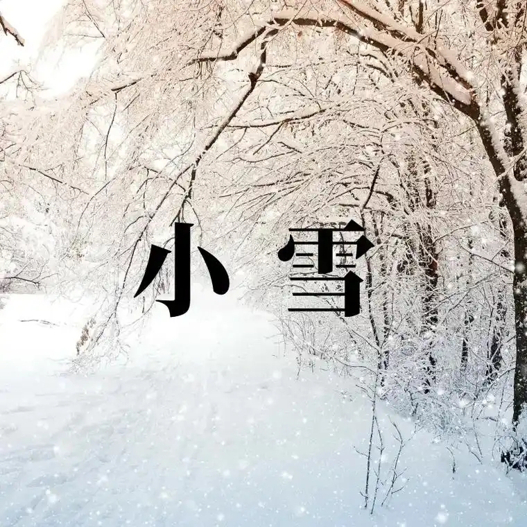 微信图片_20241122115052.jpg 微信图片_20241122115052.jpg