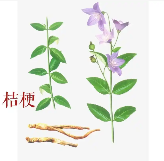 微信图片_20241219092938.png