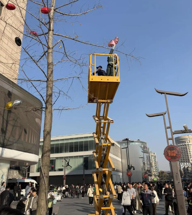 微信图片_20250102154256.png