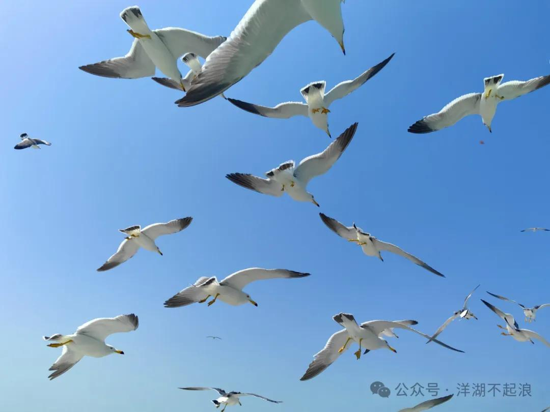 微信图片_20250106163140.png