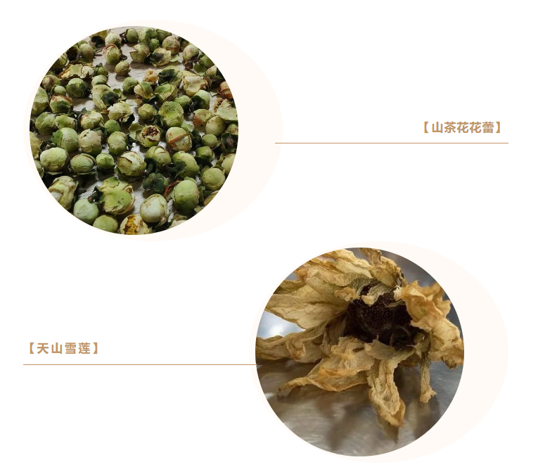 微信图片_20250314095132.png
