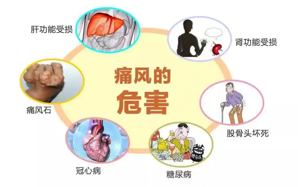 微信图片_20250402165916.png