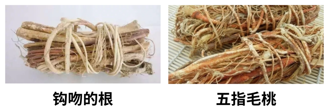微信图片_20250416161058.png