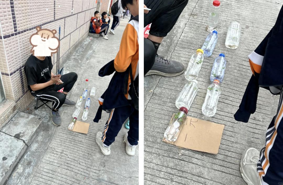 微信图片_20250417101941.png