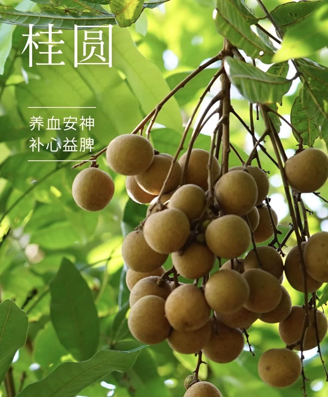 u=391536489.jpg