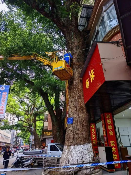 微信图片_20251110154619_441_96.png 微信图片_20251110154619_441_96.png