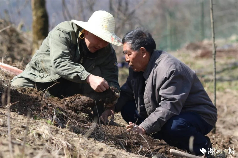 20251104a03f9be934454f.jpg 20251104a03f9be934454f.jpg