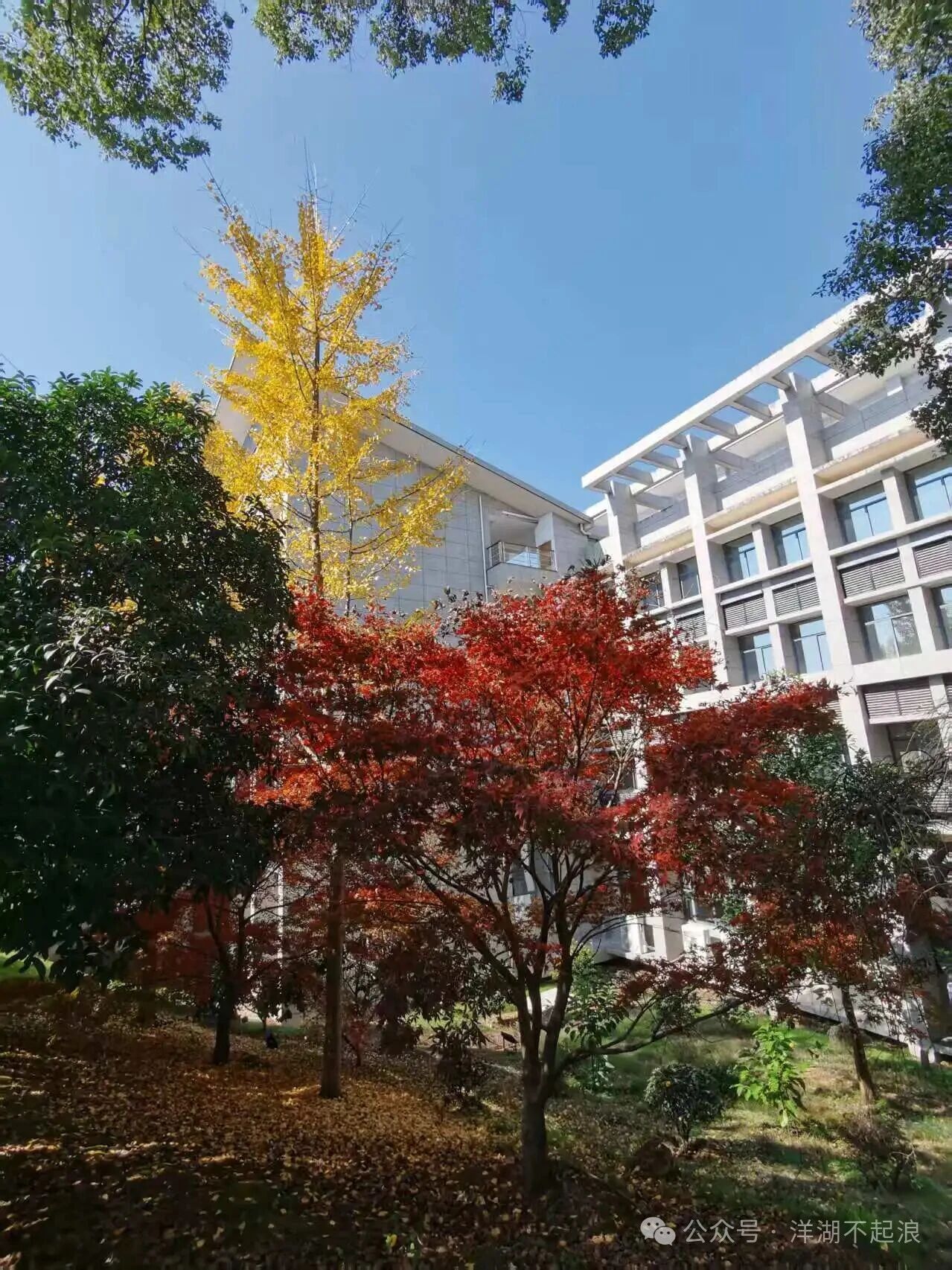 微信图片_2025-12-05_162237_917.jpg 微信图片_2025-12-05_162237_917.jpg