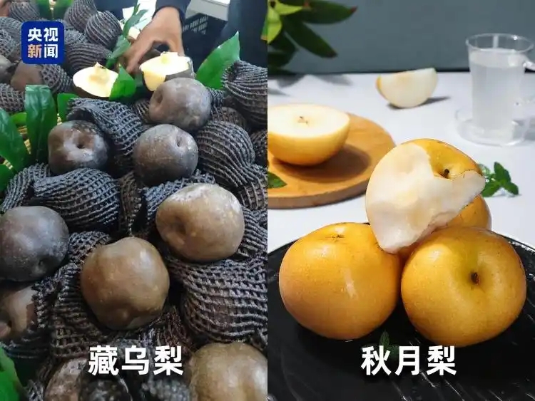 微信图片_20251205163012_529_96.jpg 微信图片_20251205163012_529_96.jpg