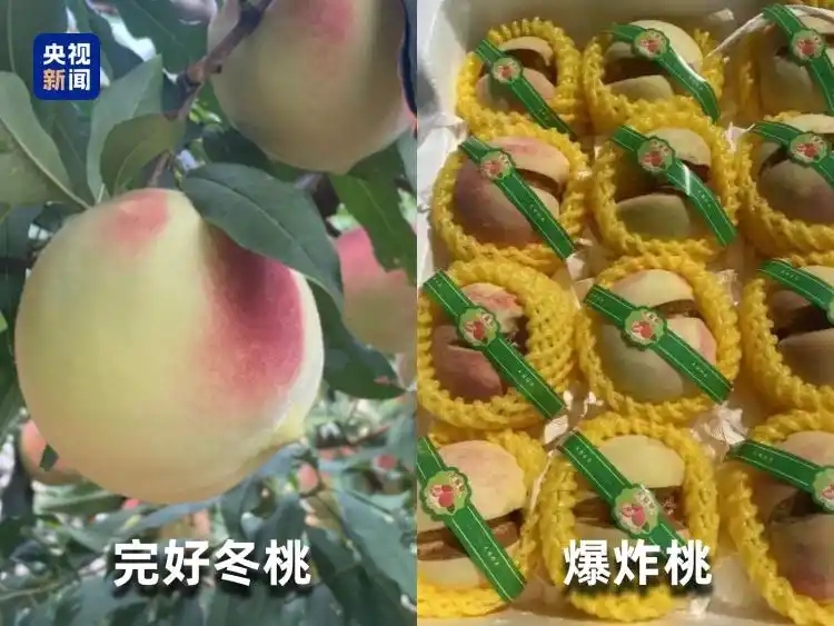 微信图片_20251205163019_530_96.jpg 微信图片_20251205163019_530_96.jpg