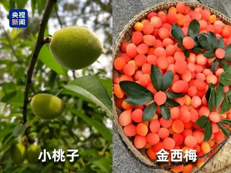 微信图片_20251205163027_531_96.jpg 微信图片_20251205163027_531_96.jpg