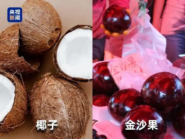 微信图片_20251205163039_532_96.jpg 微信图片_20251205163039_532_96.jpg