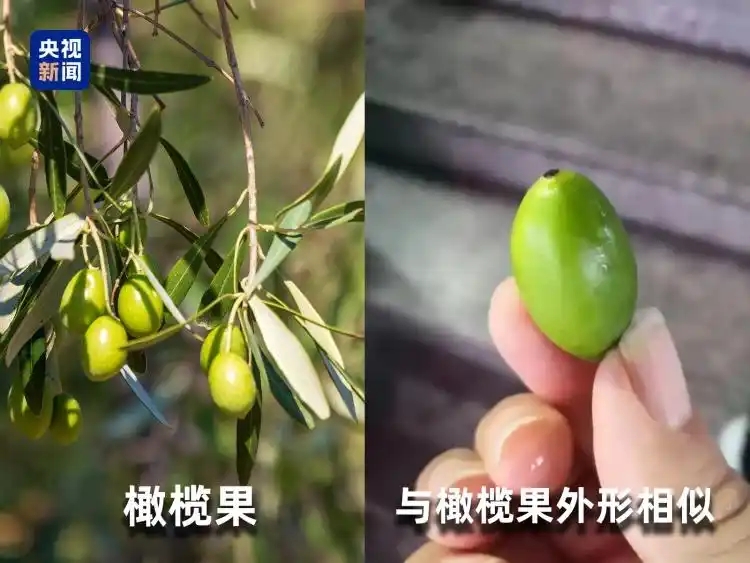 微信图片_20251205163100_533_96.jpg 微信图片_20251205163100_533_96.jpg