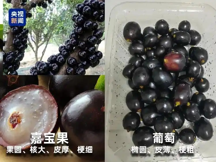 微信图片_20251205163108_534_96.jpg 微信图片_20251205163108_534_96.jpg