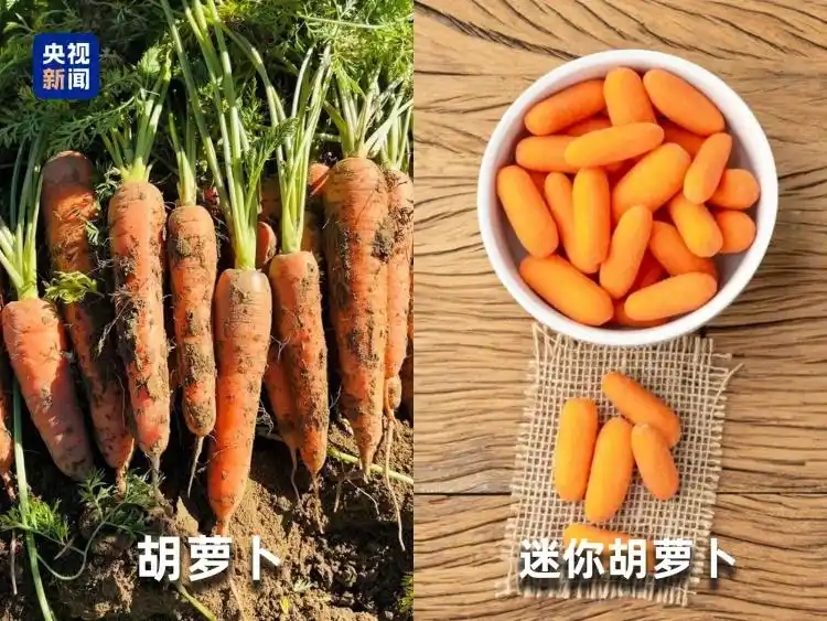 微信图片_20251205163116_535_96.jpg 微信图片_20251205163116_535_96.jpg