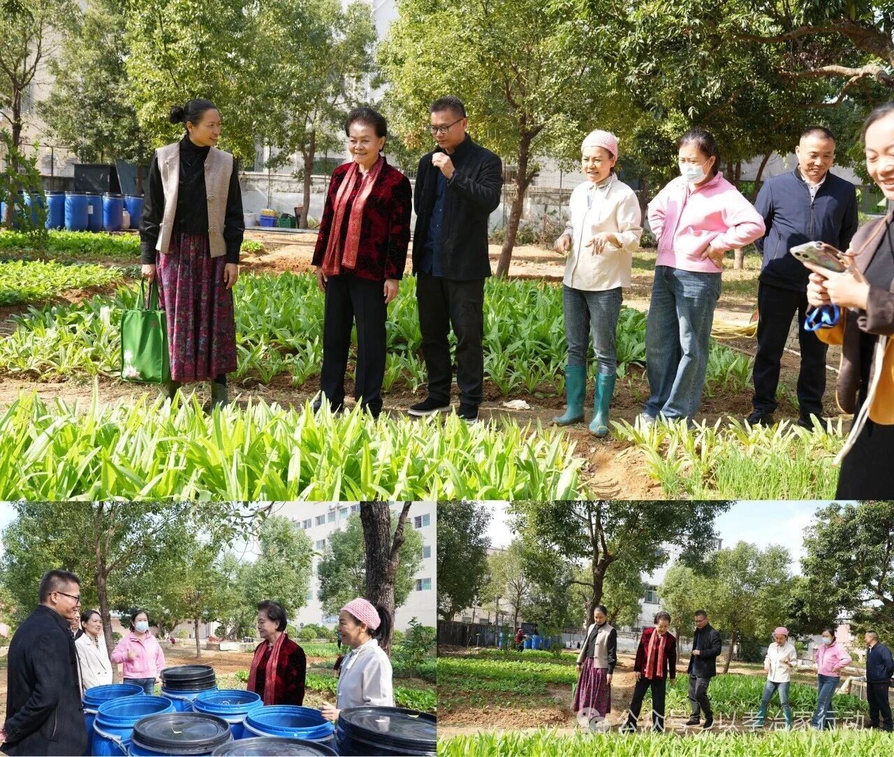 微信图片_2025-12-08_175148_883.jpg 微信图片_2025-12-08_175148_883.jpg