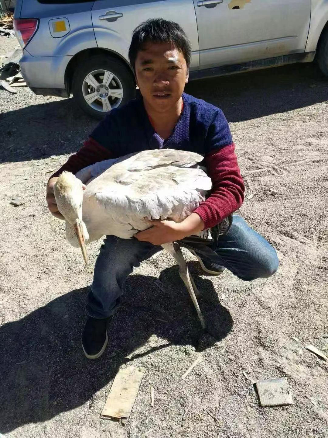 20240417093224254187.jpg 20240417093224254187.jpg