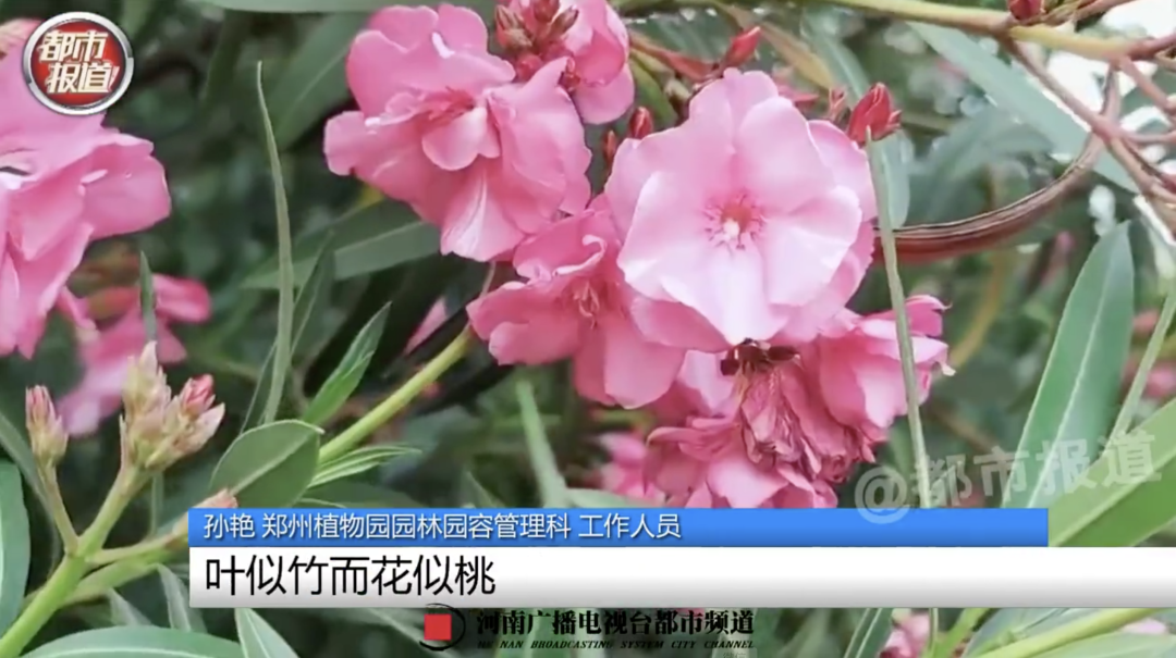 微信图片_2026-06-27_115716_155.png 微信图片_2026-06-27_115716_155.png