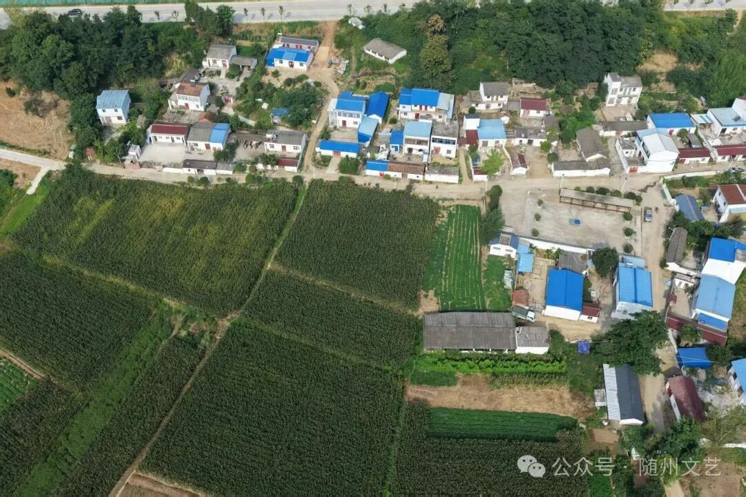 微信图片_20260715174446_1274_96.png