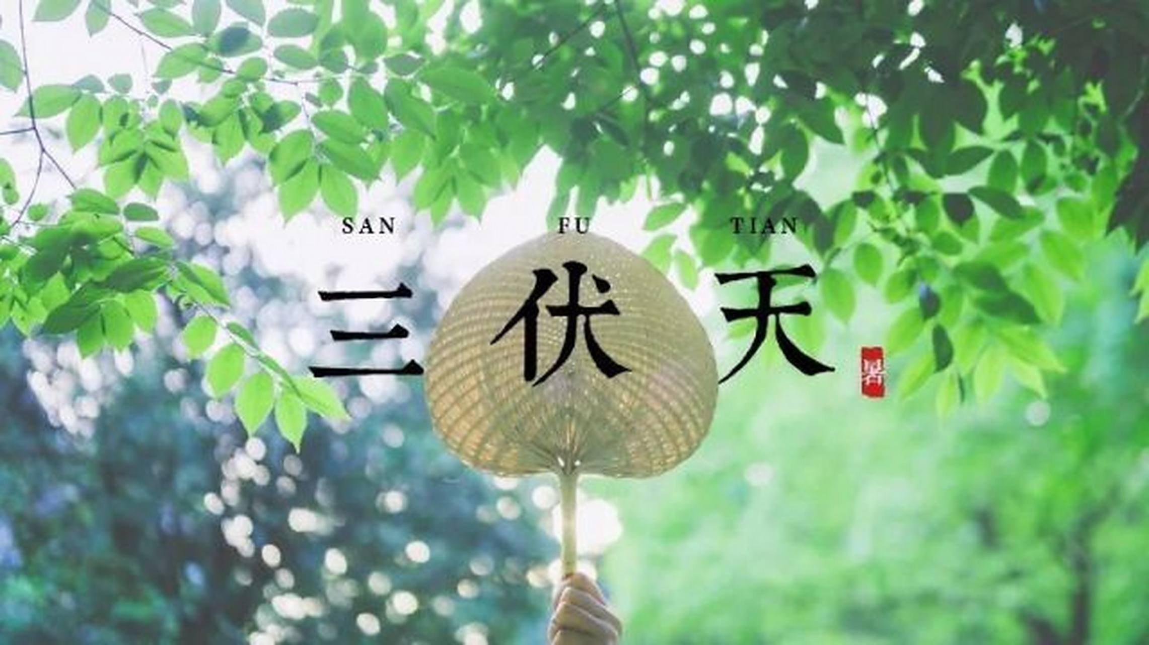 微信图片_20260716113235_1278_96.jpg