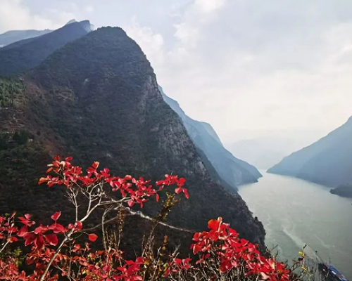 向小文：笔下风云百万兵——读彭崇谷诗人的诗