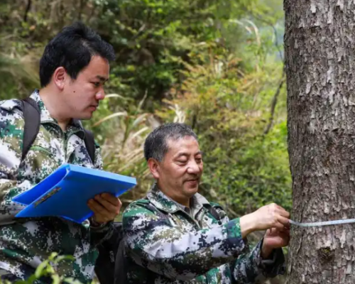 王山青：“山青”白了头，青山却长青