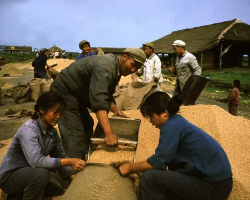 张明刚 | “寻找”父亲（散文）