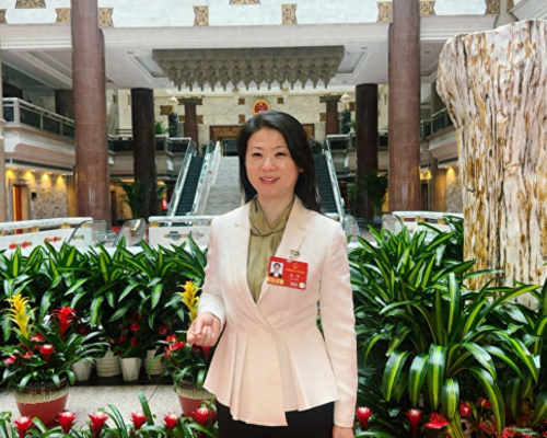 陈玮：尽快启动民间中医绝学抢救行动计划